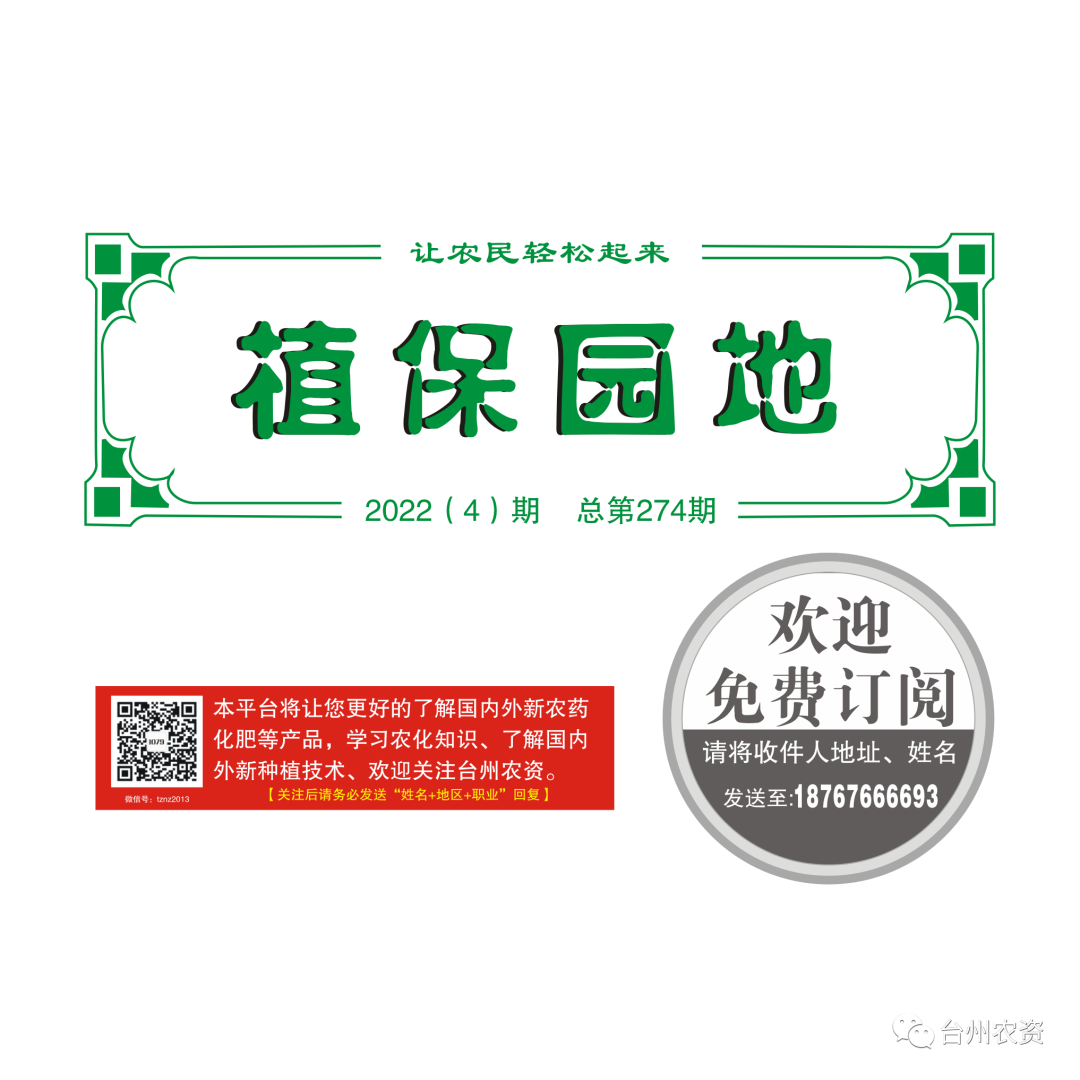 氣溫驟降，大棚西瓜做好以下幾點(diǎn)工作