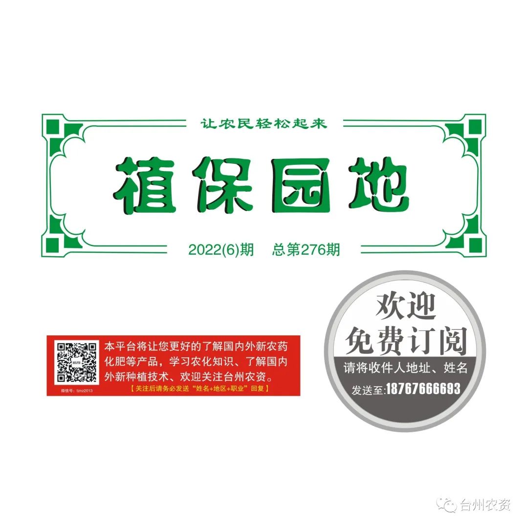 梅雨季節(jié)來臨，柑橘即將穩(wěn)果，注意管理好夏梢，合理施肥打藥