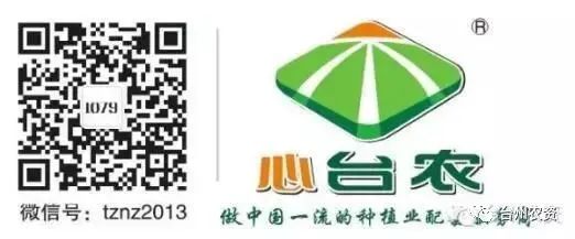 果實接近成熟，警惕柑橘表面各種油胞病